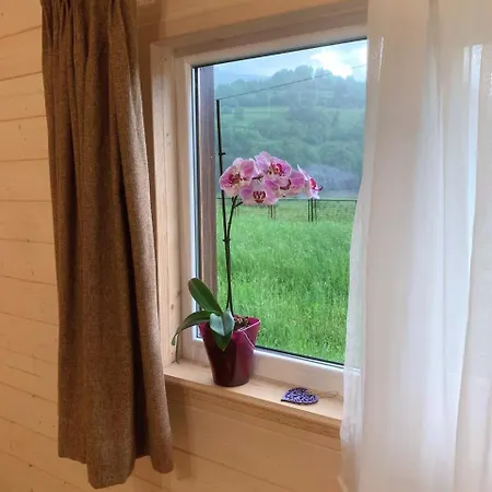 Bed and breakfast 